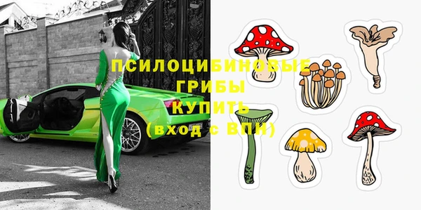 дмт Абаза