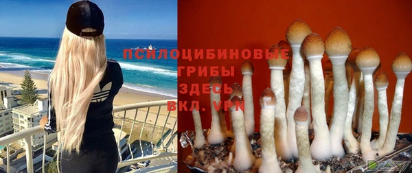 дмт Абаза