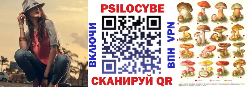 Галлюциногенные грибы Psilocybe  darknet официальный сайт  Сухой Лог  купить наркотики сайты 